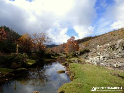 Hayedo Tejera Negra - Fiesta Almudena;gente para viajar ropa de montaña barata garganta del cares